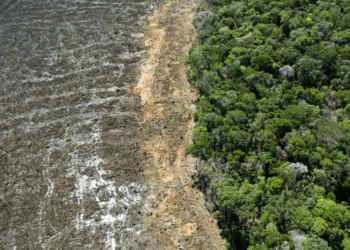 ESG: consumidores pressionam fornecedores