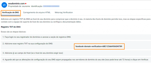 Tela de verificação de DNS