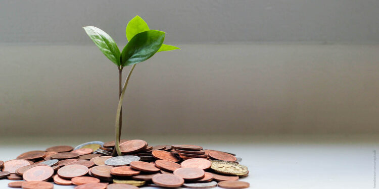 ESG: a relação entre sustentabilidade e agentes financeiros