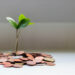 ESG: a relação entre sustentabilidade e agentes financeiros